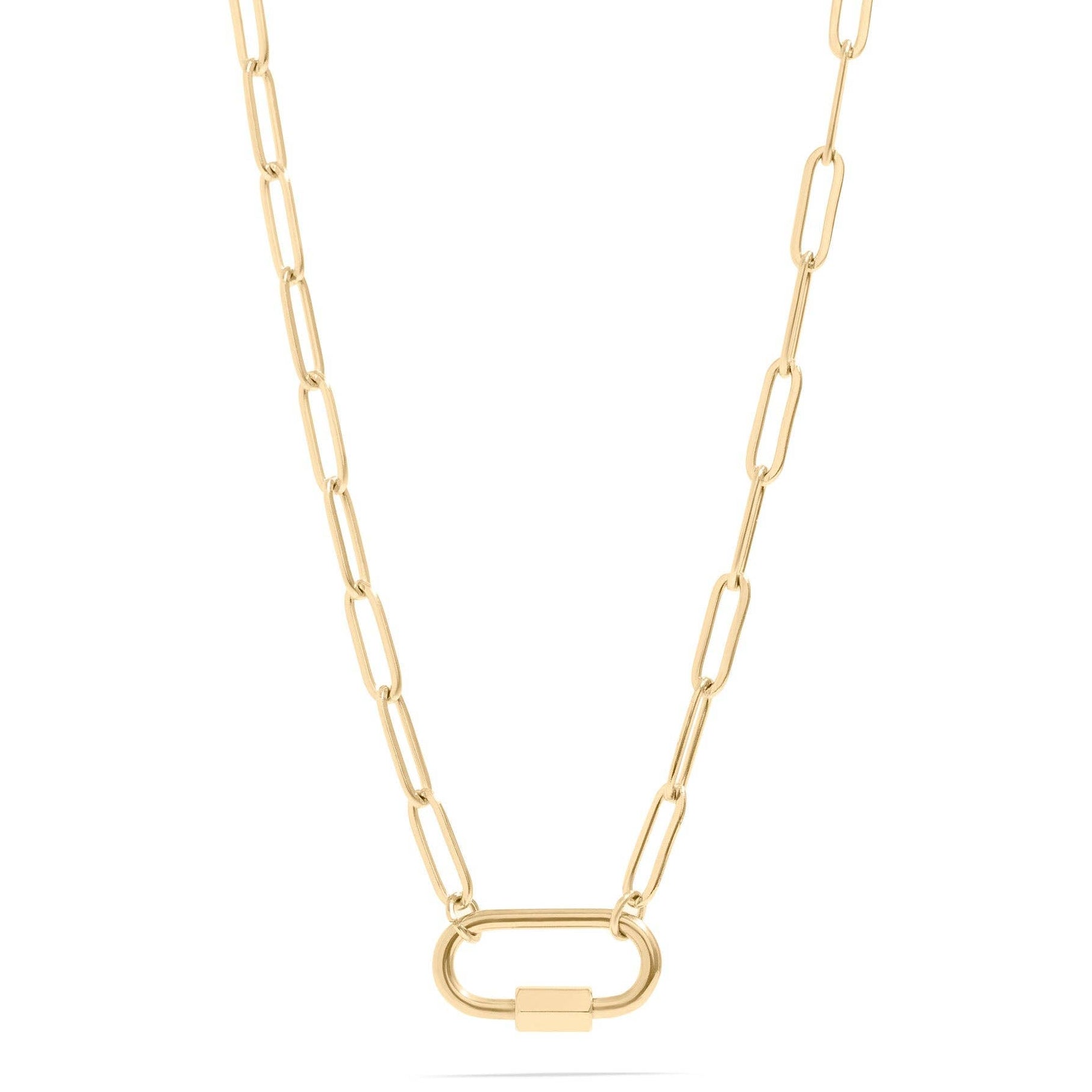 Soft Girl Paperclip Carabiner Necklace - One of a Kind